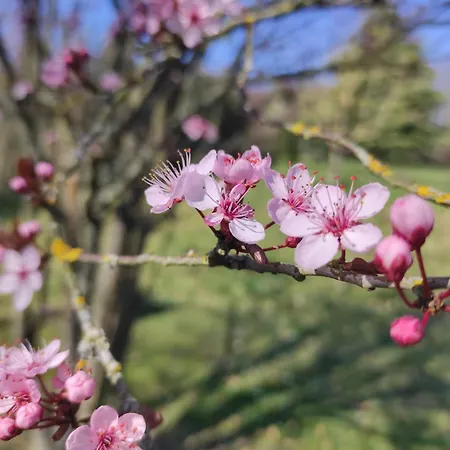 Bed & Breakfast D'hotes De L'estree